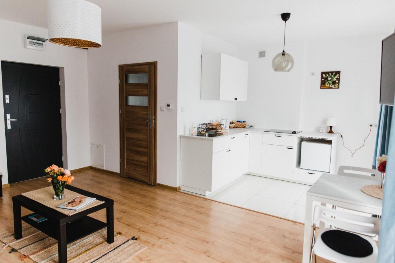 Apartament Joanna Kraków Zewnętrze zdjęcie